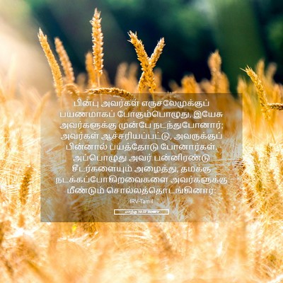 Picture 05 - மாற்கு 10:32 TAMIRV - பின்பு அவர்கள் - Bible Verse Picture