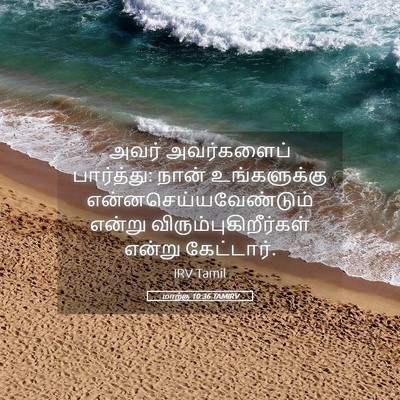 Picture 05 - மாற்கு 10:36 TAMIRV - அவர் அவர்களைப் - Bible Verse Picture