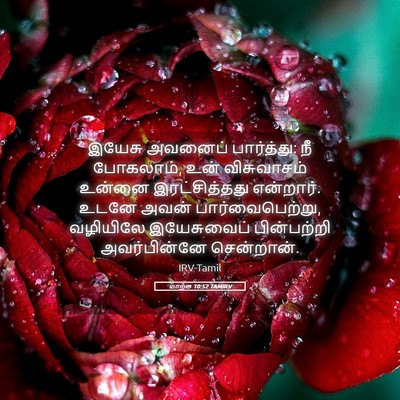 Picture 05 - மாற்கு 10:52 TAMIRV - இயேசு அவனைப் - Bible Verse Picture