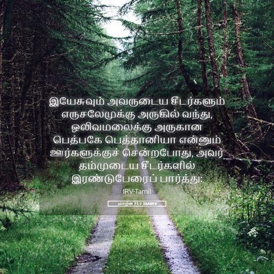 Picture 05 - மாற்கு 11:1 TAMIRV - இயேசுவும் அவருடைய - Bible Verse Picture