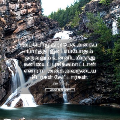 Picture 05 - மாற்கு 11:14 TAMIRV - அப்பொழுது இயேசு - Bible Verse Picture