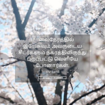 Picture 05 - மாற்கு 11:19 TAMIRV - மாலைநேரத்தில் - Bible Verse Picture