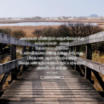 Picture 05 - மாற்கு 11:27 TAMIRV - அவர்கள் மீண்டும் - Bible Verse Picture