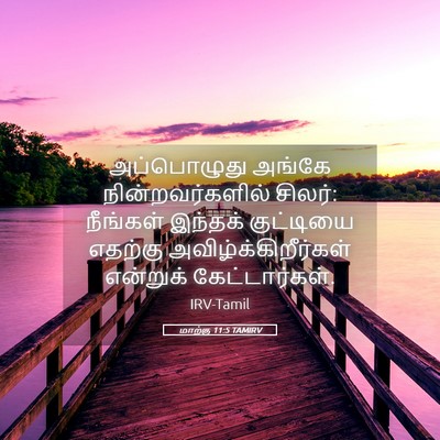 Picture 05 - மாற்கு 11:5 TAMIRV - அப்பொழுது அங்கே - Bible Verse Picture