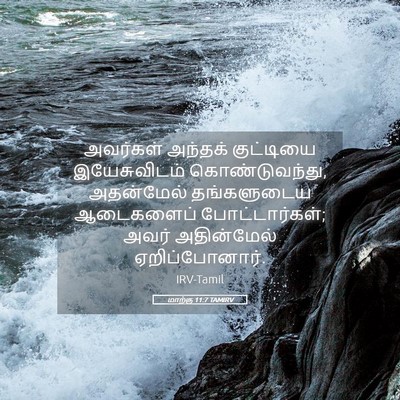 Picture 05 - மாற்கு 11:7 TAMIRV - அவர்கள் அந்தக் - Bible Verse Picture