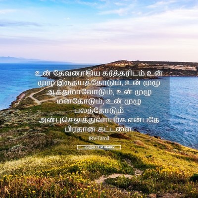 Picture 05 - மாற்கு 12:30 TAMIRV - உன் தேவனாகிய - Bible Verse Picture