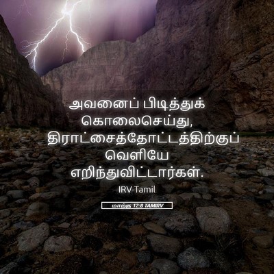 Picture 05 - மாற்கு 12:8 TAMIRV - அவனைப் பிடித்துக் - Bible Verse Picture