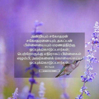 Picture 05 - மாற்கு 13:12 TAMIRV - அன்றியும் சகோதரன் - Bible Verse Picture