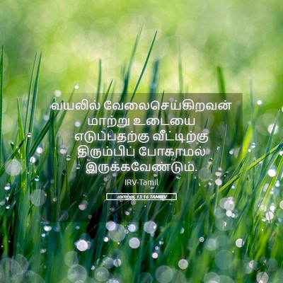 Picture 05 - மாற்கு 13:16 TAMIRV - வயலில் - Bible Verse Picture