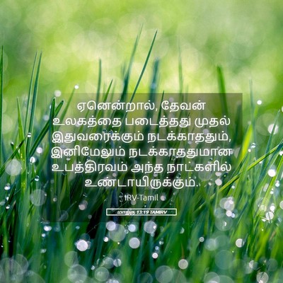 Picture 05 - மாற்கு 13:19 TAMIRV - ஏனென்றால், தேவன் - Bible Verse Picture