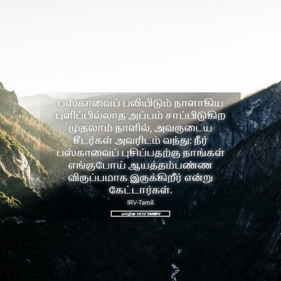 Picture 05 - மாற்கு 14:12 TAMIRV - பஸ்காவைப் - Bible Verse Picture