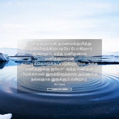 Picture 05 - மாற்கு 14:21 TAMIRV - மனிதகுமாரன் - Bible Verse Picture
