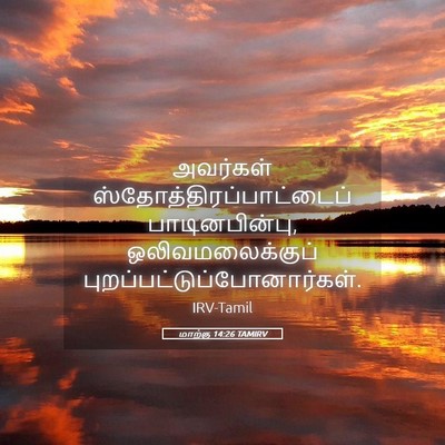 Picture 05 - மாற்கு 14:26 TAMIRV - அவர்கள் - Bible Verse Picture