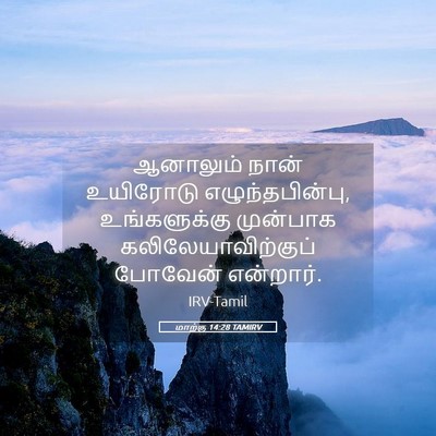 Picture 05 - மாற்கு 14:28 TAMIRV - ஆனாலும் நான் - Bible Verse Picture