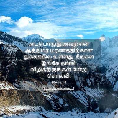 Picture 05 - மாற்கு 14:34 TAMIRV - அப்பொழுது அவர்: - Bible Verse Picture