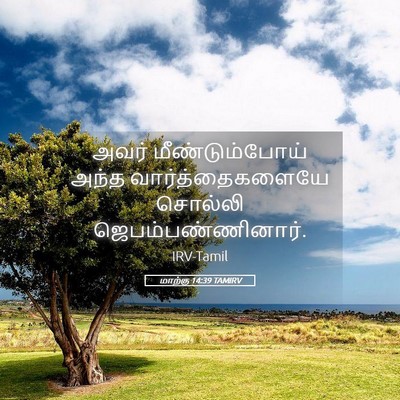 Picture 05 - மாற்கு 14:39 TAMIRV - அவர் மீண்டும்போய் - Bible Verse Picture