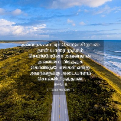 Picture 05 - மாற்கு 14:44 TAMIRV - அவரைக் - Bible Verse Picture