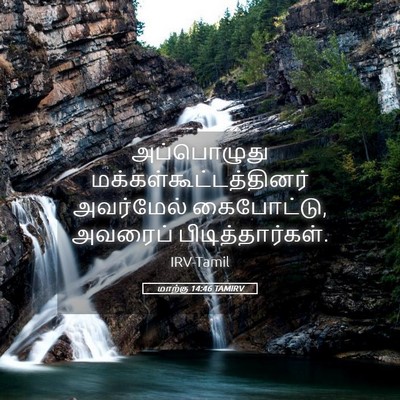 Picture 05 - மாற்கு 14:46 TAMIRV - அப்பொழுது - Bible Verse Picture