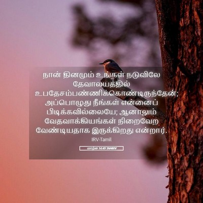Picture 05 - மாற்கு 14:49 TAMIRV - நான் தினமும் - Bible Verse Picture