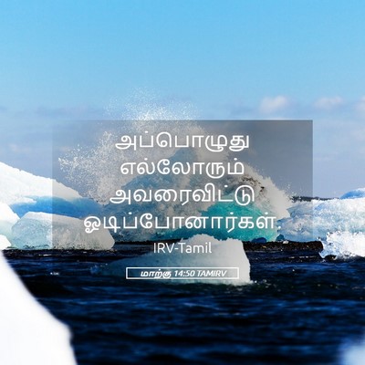 Picture 05 - மாற்கு 14:50 TAMIRV - அப்பொழுது - Bible Verse Picture