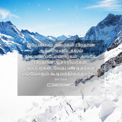 Picture 05 - மாற்கு 14:53 TAMIRV - இயேசுவை அவர்கள் - Bible Verse Picture