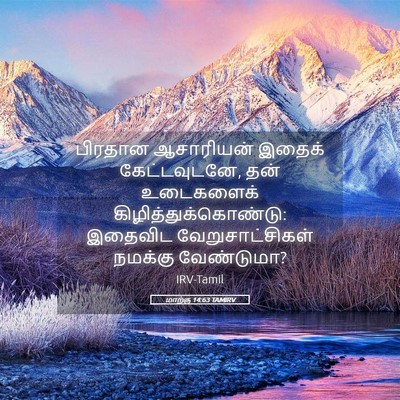 Picture 05 - மாற்கு 14:63 TAMIRV - பிரதான ஆசாரியன் - Bible Verse Picture