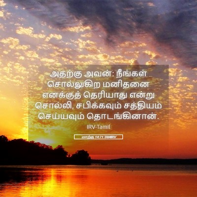Picture 05 - மாற்கு 14:71 TAMIRV - அதற்கு அவன்: - Bible Verse Picture