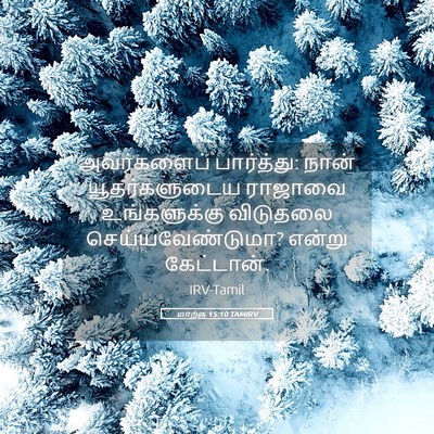 Picture 05 - மாற்கு 15:10 TAMIRV - அவர்களைப் - Bible Verse Picture