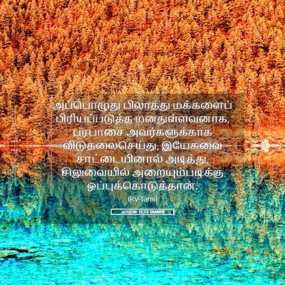 Picture 05 - மாற்கு 15:15 TAMIRV - அப்பொழுது - Bible Verse Picture