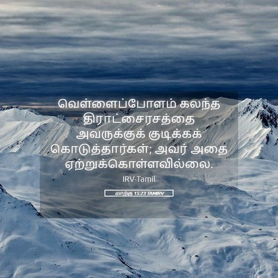 Picture 05 - மாற்கு 15:23 TAMIRV - வெள்ளைப்போளம் - Bible Verse Picture