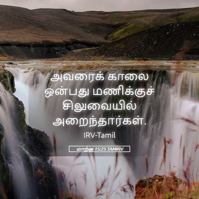 Picture 05 - மாற்கு 15:25 TAMIRV - அவரைக் காலை - Bible Verse Picture