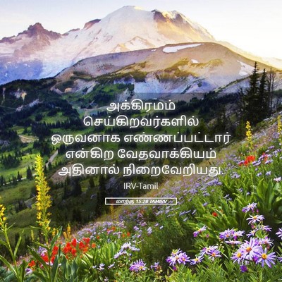 Picture 05 - மாற்கு 15:28 TAMIRV - அக்கிரமம் - Bible Verse Picture