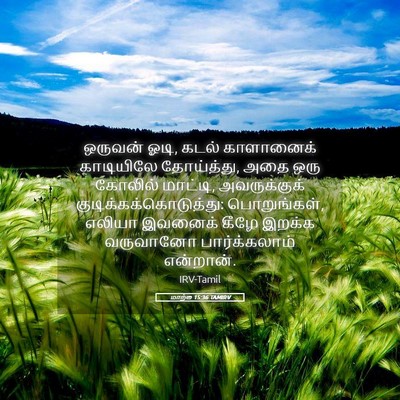 Picture 05 - மாற்கு 15:36 TAMIRV - ஒருவன் ஓடி, கடல் - Bible Verse Picture