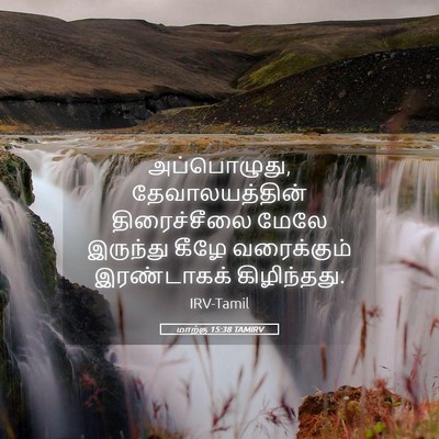 Picture 05 - மாற்கு 15:38 TAMIRV - அப்பொழுது, - Bible Verse Picture