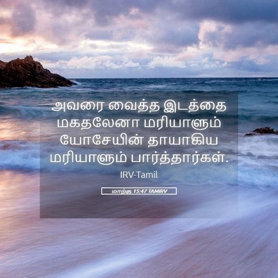 Picture 05 - மாற்கு 15:47 TAMIRV - அவரை வைத்த இடத்தை - Bible Verse Picture