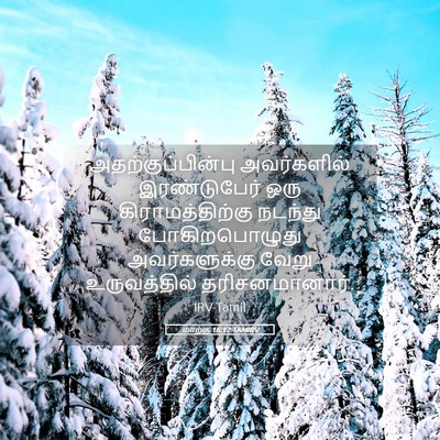 Picture 05 - மாற்கு 16:12 TAMIRV - அதற்குப்பின்பு - Bible Verse Picture