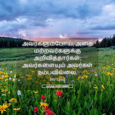 Picture 05 - மாற்கு 16:13 TAMIRV - அவர்களும்போய், - Bible Verse Picture