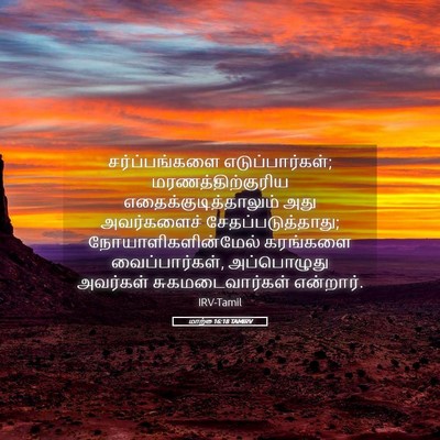 Picture 05 - மாற்கு 16:18 TAMIRV - சர்ப்பங்களை - Bible Verse Picture