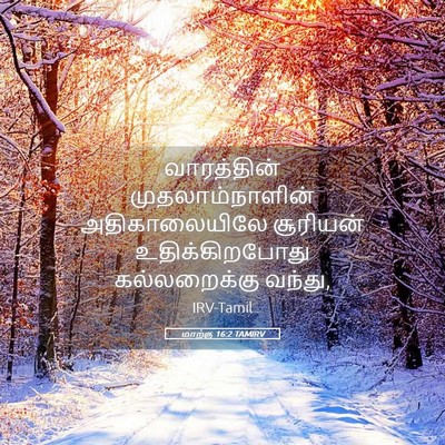 Picture 05 - மாற்கு 16:2 TAMIRV - வாரத்தின் - Bible Verse Picture