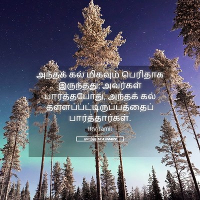 Picture 05 - மாற்கு 16:4 TAMIRV - அந்தக் கல் - Bible Verse Picture