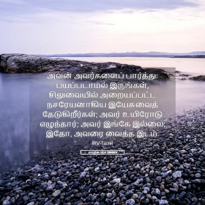 Picture 05 - மாற்கு 16:6 TAMIRV - அவன் அவர்களைப் - Bible Verse Picture
