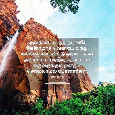 Picture 05 - மாற்கு 16:8 TAMIRV - அவர்கள் பயந்து - Bible Verse Picture