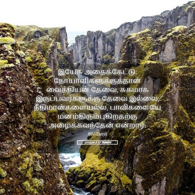 Picture 05 - மாற்கு 2:17 TAMIRV - இயேசு - Bible Verse Picture