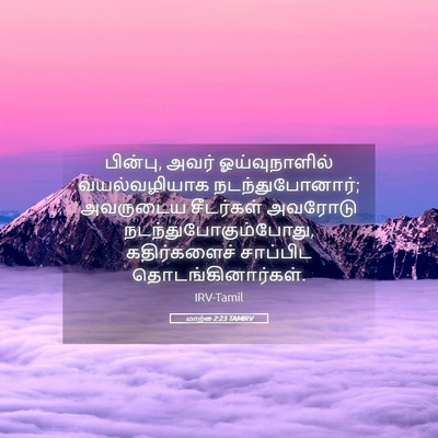 Picture 05 - மாற்கு 2:23 TAMIRV - பின்பு, அவர் - Bible Verse Picture