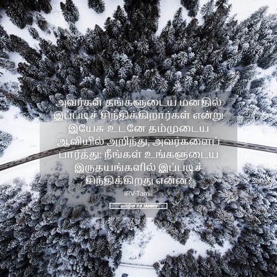 Picture 05 - மாற்கு 2:8 TAMIRV - அவர்கள் தங்களுடைய - Bible Verse Picture