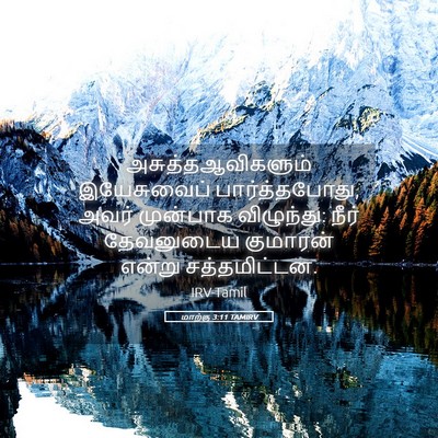 Picture 05 - மாற்கு 3:11 TAMIRV - அசுத்தஆவிகளும் - Bible Verse Picture