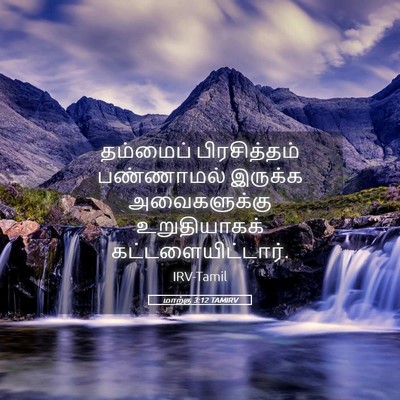 Picture 05 - மாற்கு 3:12 TAMIRV - தம்மைப் - Bible Verse Picture