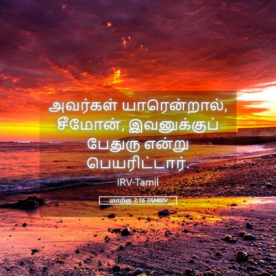 Picture 05 - மாற்கு 3:16 TAMIRV - அவர்கள் - Bible Verse Picture