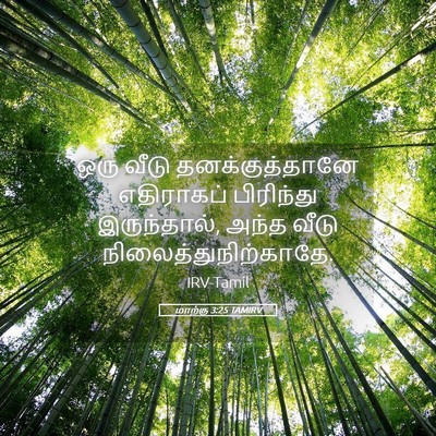 Picture 05 - மாற்கு 3:25 TAMIRV - ஒரு வீடு - Bible Verse Picture
