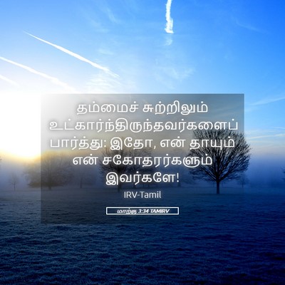 Picture 05 - மாற்கு 3:34 TAMIRV - தம்மைச் - Bible Verse Picture